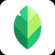 Snapseed app icon